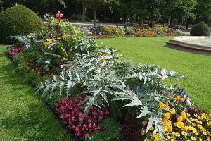 Summer border with flowers and vegetables