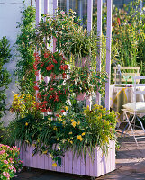 Screen with planter box and suspended pots (2/2)