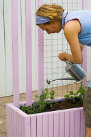 Build box with trellis as privacy screen