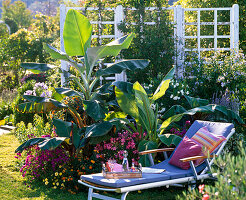 Bed planted with potted plants