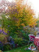 Terraced house garden with seating area and autumn bed