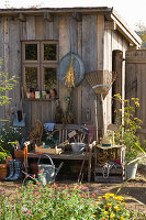 Garden shed in the garden, garden tools, clay pots and other utensils