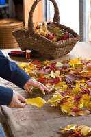 Leaf carpet made of autumn leaves and wire mesh