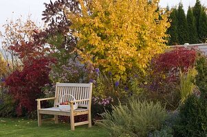 Herbstbeet mit Parrotia (Eisenholzbaum), Acer palmatum (Japanischer Fächerahorn)