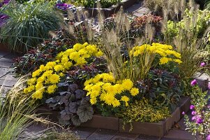 Flower bed with clinker frame