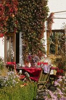 Terrasse an Haus mit Parthenocissus (Wildem Wein) bewachsen