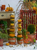 Pumpkin towers