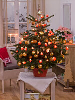 Weihnachtsbaum mit Lampion-Lichterkette (2/2)