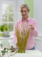 Fence of dogwood branches around glass vase (1/3)