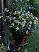 Homemade basket with wooden floor