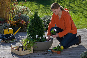 Put spring onions under autumn planting