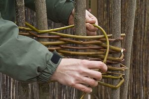 Plant clematis in tubs with home-made climbing aid