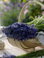 Freshly harvested lavandula (lavender) in a wooden basket