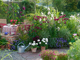 Sommerliches Staudenbeet: Monarda 'Cambridge Scarlet' (Indianer-Nessel)