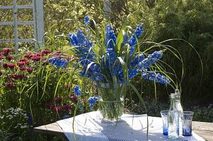 Lush bouquet of Delphinium elatum 'Magic Fountain' (delphinium)