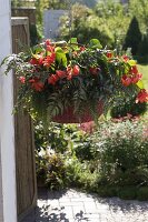 Traffic light basket for shade