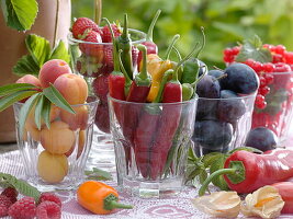 Harvest from the sweet nibble balcony