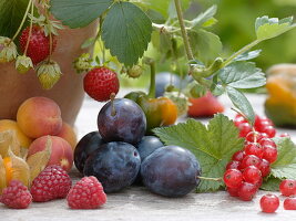 Harvest from sweet balcony