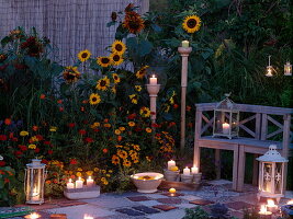 Evening terrace by the summer flower bed