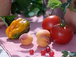 Paprika (Capsicum), Aprikosen (Prunus armeniaca), Tomaten (Lycopersicon