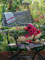 Basket with freshly cut flowers and freshly harvested bulbs