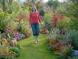 Autumn beds with grasses, perennials, summer flowers and woody plants