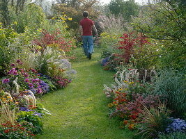 Autumn beds with grasses, perennials, summer flowers and woody plants