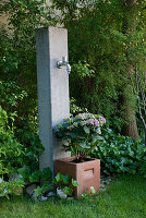 Concrete column with water connection, tub with Hydrangea
