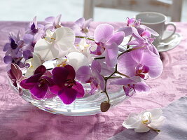 Orchids in glass bowl as table decoration