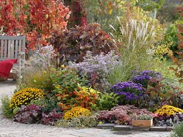 Colorful autumnal bed on the terrace with oak leaf hydrangea