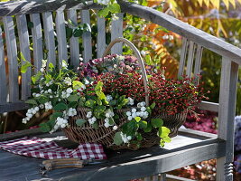 Wicker basket with autumnal fruit ornaments on bench