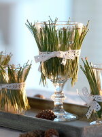 Unusual Advent wreath made of glasses decorated with pine needles