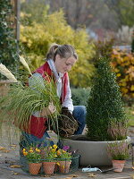 Planting an autumnal bowl with pampas grass and a box