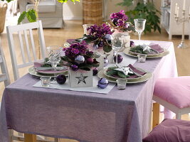 Christmas table decoration with usambara violets