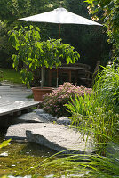 View from the swimming pond to the wooden seating area under the parasol