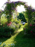 Path through rose arch with rose 'Violet Blue' to wooden bench