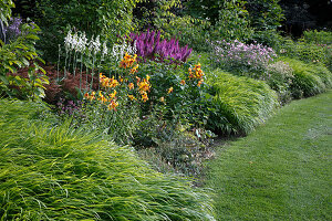 Hakonechloa macra (Japangras), Lilium tigrinum-Hybride 'Pearl Stacy' (Tiger-Lilie), Hosta 'White Triumphator' (Funkien), Astilbe chinensis (Astilben) und Anemone hupehensis 'Septembercharme' (Herbst-Anemone)