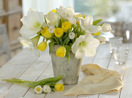 weiße Hippeastrum (Amaryllis) und Tulipa (Tulpen) in grauer Vase
