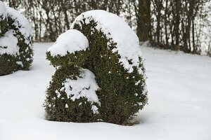 Formgeschnittene Tierfiguren im verschneiten Garten