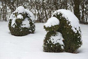 Formgeschnittene Tierfiguren im verschneiten Garten