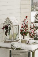 Hand-tied small trees of Nordmann fir