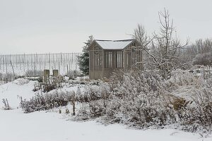 Teehaus im verschneiten Garten, Beete mit Stauden und Apfelbaum (Malus)