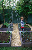 OLLIE WATERING THE DECORATIVE CHILDRENS POTAGER