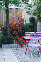 Blaue Caféstühle, rosafarbener Holztisch, Terrassendielen und verzinktes Tablett mit Sukkulenten bepflanzt, mit Canna im Hintergrund