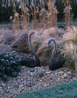 Frosty Grass Border neben dem Kanal, mit Schwanenskulpturen, Stipa tenuissima, Miscanthus sinensis 'Graziella'