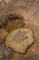 Dinosaurier-Fußabdrücke, Reinigung der Zementform mit Wasser