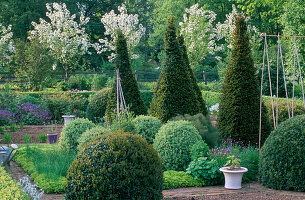 Das Parterre im Frühling mit Malus hupehensis dahinter