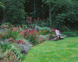 Weitläufiges Beet am Waldrand mit Echinacea, Nepeta und Eupatorium