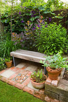 Ein Platz zum Sitzen: Holzsitz (Bank), umgeben von Laubpflanzen, darunter Cotinus 'Grace'