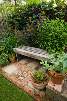 Ein Platz zum Sitzen: Hinterer Garten mit Rasen und Holzbank - Cotinus 'Grace'